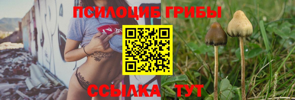 Галлюциногенные грибы GOLDEN TEACHER  Галлюциногенные грибы Magic Shrooms  Сыктывкар  Вход с VPN 